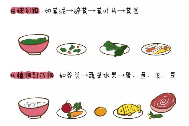 如何添加辅食？教你正确给宝宝添加辅食！