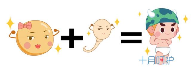 可怕！40年来男性精子合格率不到20%，二胎不是你想生就能生