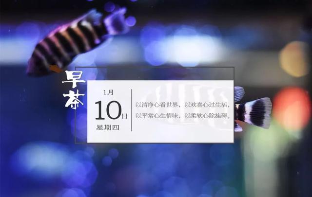 警惕！这些童装甲醛超标、可分解致癌染料，家长们小心！｜新闻早茶
