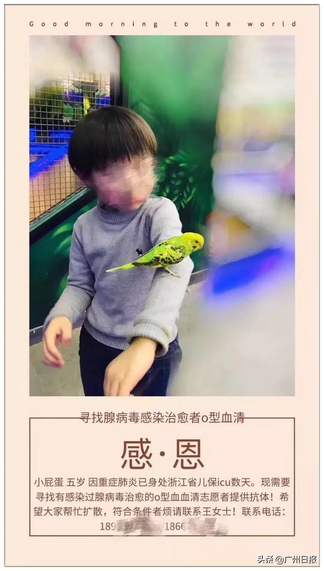5岁男孩寻找“救命血清”刷爆朋友圈！血清疗法真的有效吗？