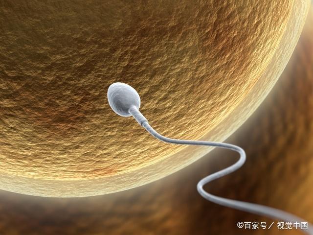 哪些因素，会影响男性的生育力？关于这三个主因，别忽视了！