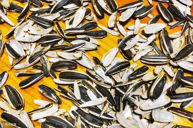 孕期能吃葵瓜子吗？其实还有这些好处，可惜很多孕妈不知道！