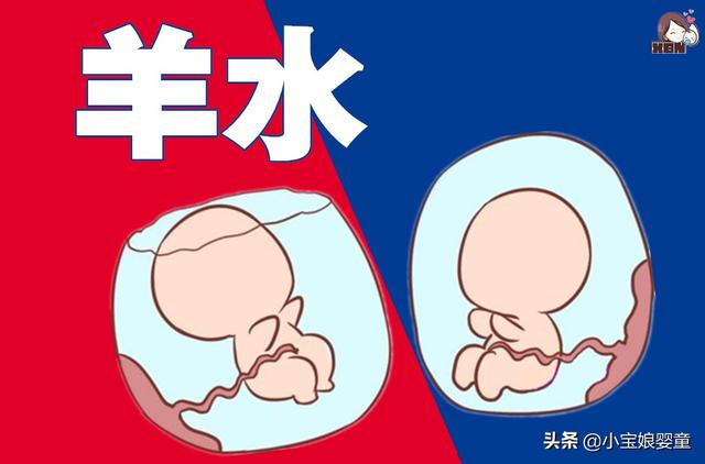 陈意涵怀孕八个月，只胖六斤？孕妇肚子大小或与这3点有关！