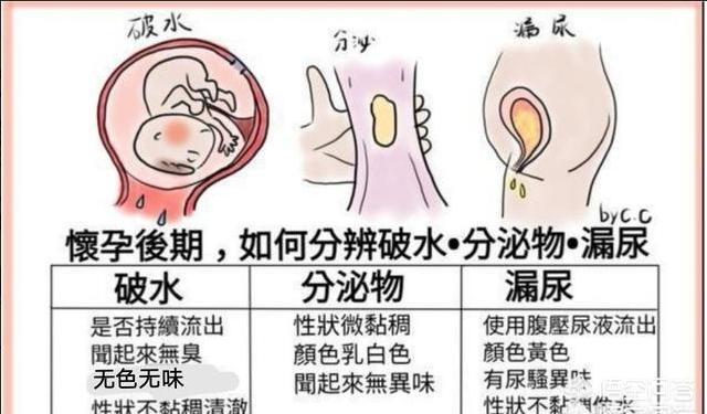孕晚期担心破水，怎么区分破水和漏尿？