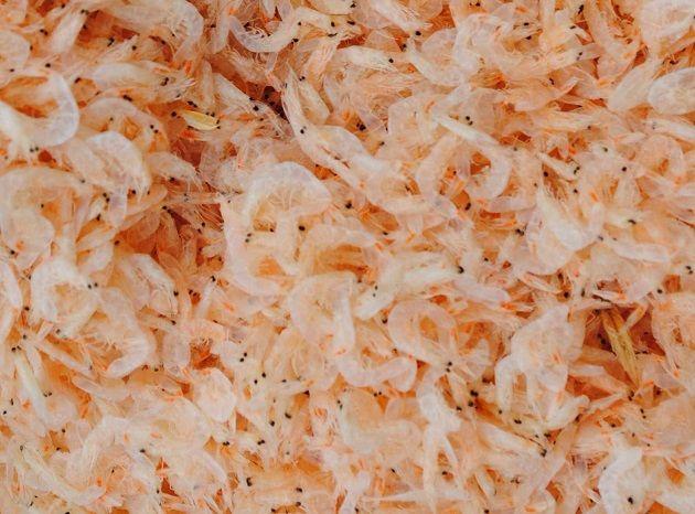 为孩子补钙需精准,这些“误区”要避开,方法需得当