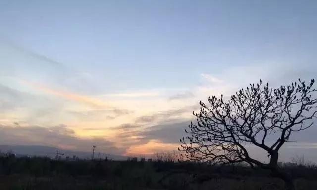 年老了，这些感悟和心得都有必要看看，你会受到很大的启发！