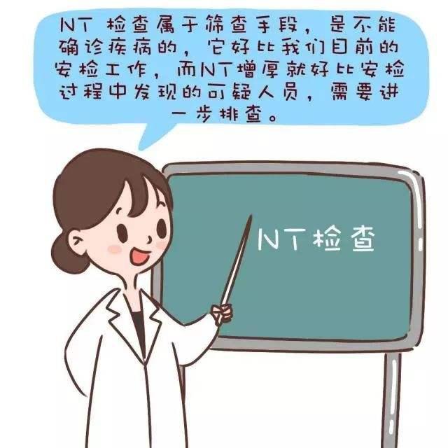 关于NT检查，孕妈想问的问题，答案都在这儿了~