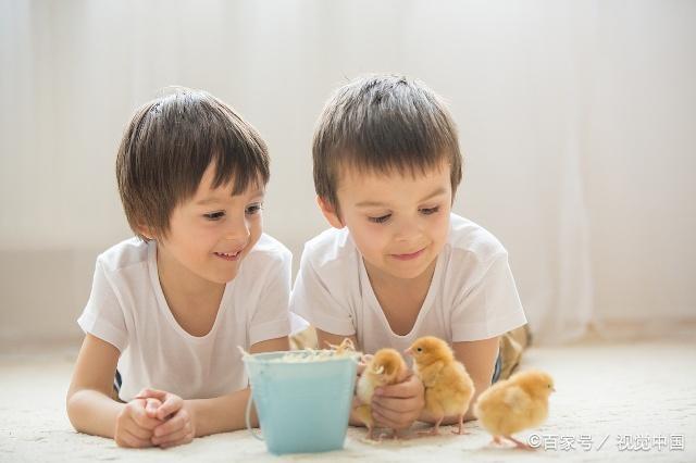 天生聪明相的孩子长什么样？这4个特征，希望你家孩子有！