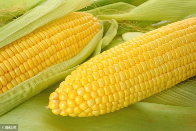 怀孕了很想吃玉米，可以吃么？孕妇吃玉米对胎儿有什么好处吗？