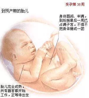 剖腹产多少周做最好？医生说最好撑到这个孕周