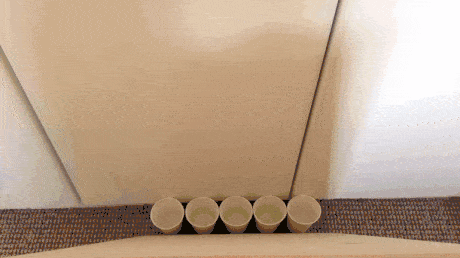 儿童也有强迫症？——简析儿童强迫症表现及治疗