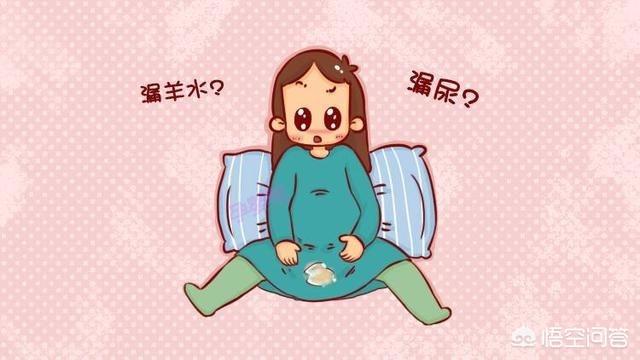 怀孕咳嗽，结果一用力就感觉漏尿，那不是羊水吧？