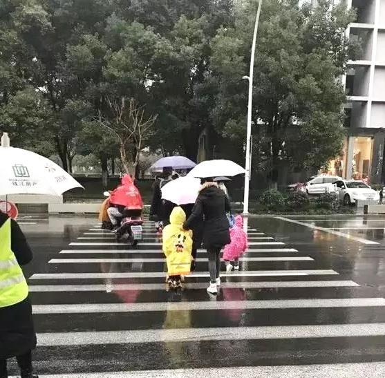 现在的小朋友，不早起都抢不到车位？最近这个幼儿园火了！
