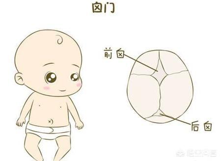 9个月宝宝囟门快闭合了怎么办？