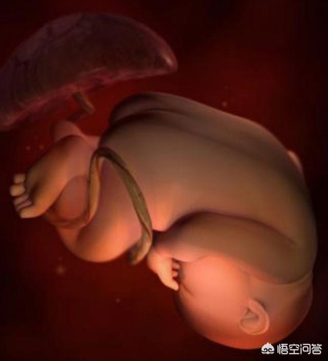 孕妇产前半个月需要注意什么？