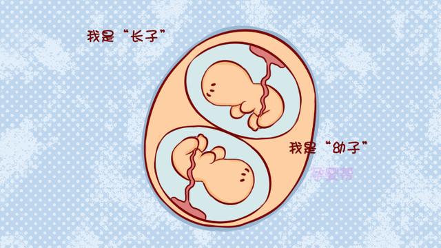双胞胎宝宝谁先出来谁就是老大？妇产科医生：那可不一定！