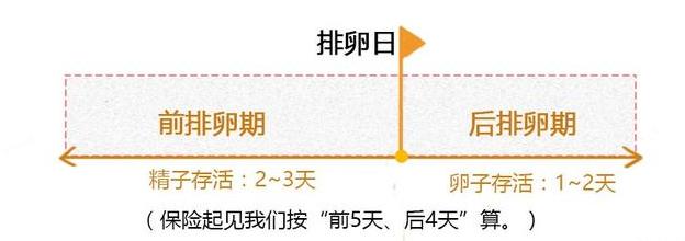 排卵期有哪些症状？网友：啥都别管，需求特别大的那几天就是