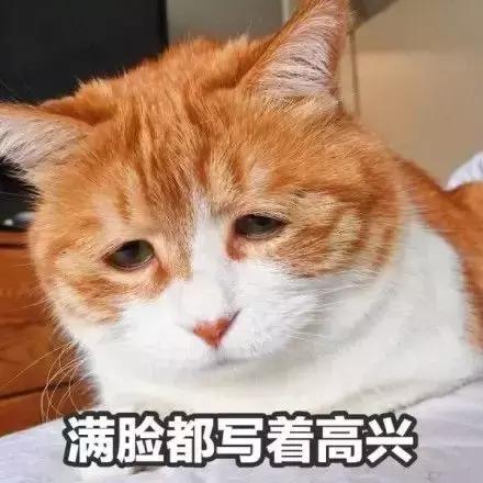 别人家的老公都怎么带娃？看完很冲动，想离婚