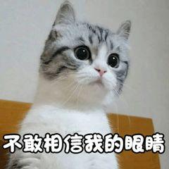 一点不扒瞎，东北人养的不是孩子，简直是碎钞机啊！