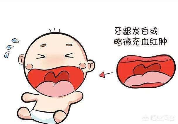 宝宝刚开始长牙的时候要注意哪些问题？