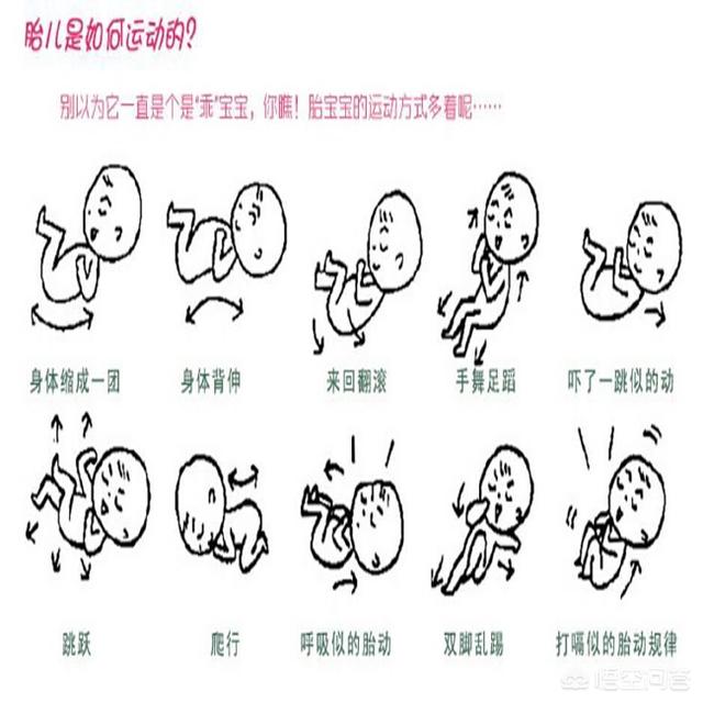 怀孕几周会开始有胎动？胎动是什么感觉？