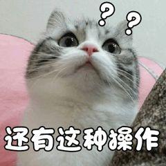 一点不扒瞎，东北人养的不是孩子，简直是碎钞机啊！