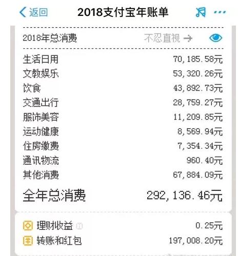 支付宝账单：孩子，你妈去年为你买了全世界！