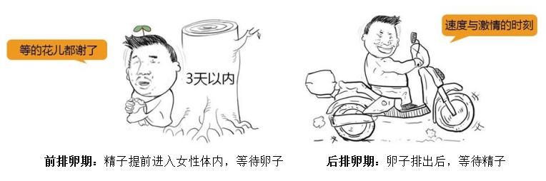 排卵期有哪些症状？网友：啥都别管，需求特别大的那几天就是