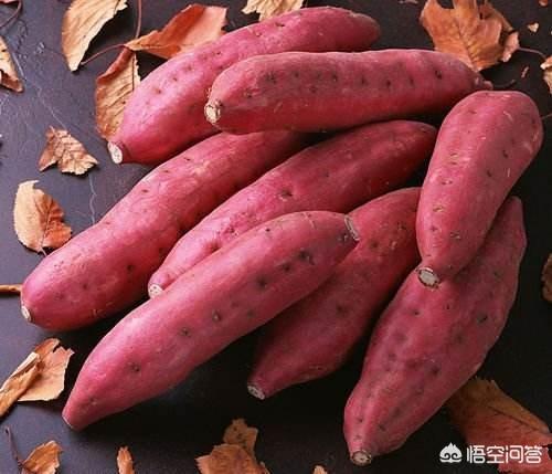 孕晚期为了快速长胎可以吃哪些食物？