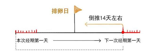 排卵期有哪些症状？网友：啥都别管，需求特别大的那几天就是