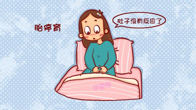 孕早期出现胎停育的6大原因,特别这一个,让人感到很无奈