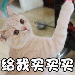 一点不扒瞎，东北人养的不是孩子，简直是碎钞机啊！