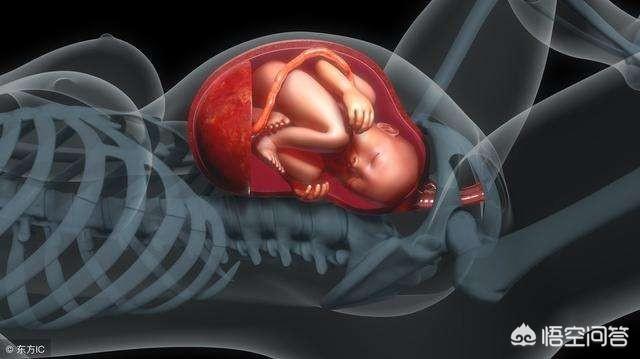 38周胎儿入盆图片图片