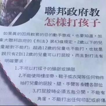 智商低的人，可能是因为小时候被揍多了