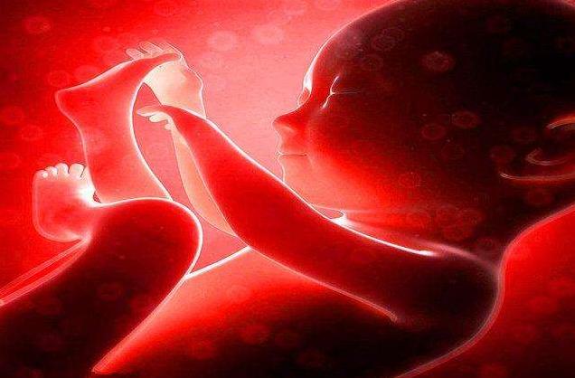 胎儿何时有胎心跳动？不是五周，也不是六周，关于胎心这些要知道