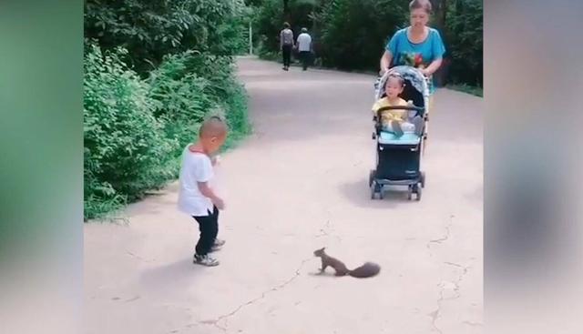 周末带孩子去公园，遇到小松鼠，孩子的反应太暖心了