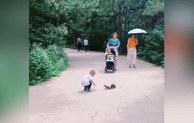 周末带孩子去公园，遇到小松鼠，孩子的反应太暖心了