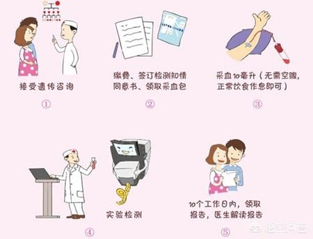做无创dna检测的最佳时间是怀孕几个月的时候呢？