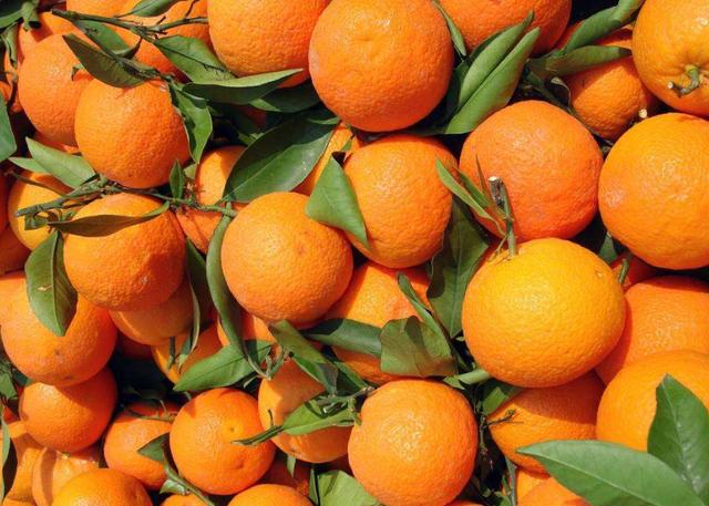 双胞胎同时产子，孩子长相差异大，了解姐妹俩平时各自爱好后秒懂