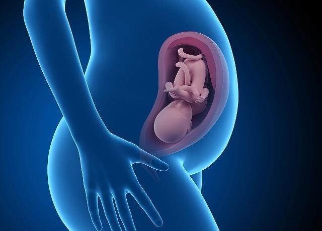 孕期，为什么晚上胎动频繁？关于胎儿的这3个情况，孕妈要清楚！