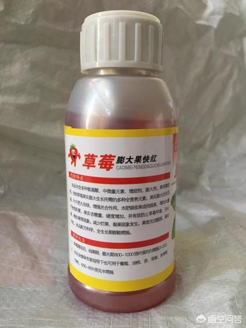 怀孕能吃草莓吗？