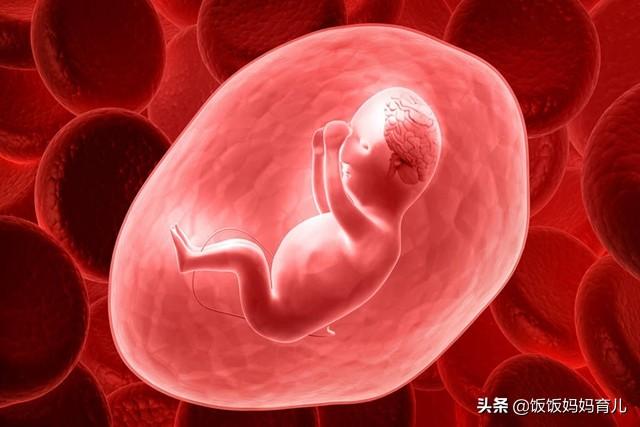 孕妈在这3个时间段喝水，羊水会更充足，孕妈早知道，胎儿早受益