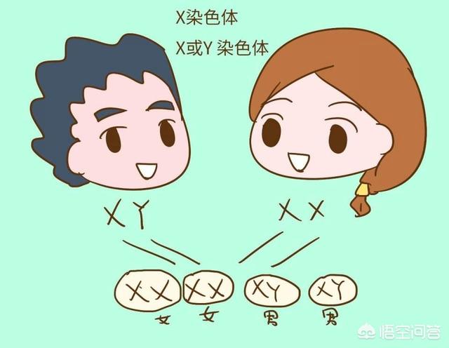 有人说孩子的智商遗传母亲，如果妈妈很笨，会影响到孩子吗？