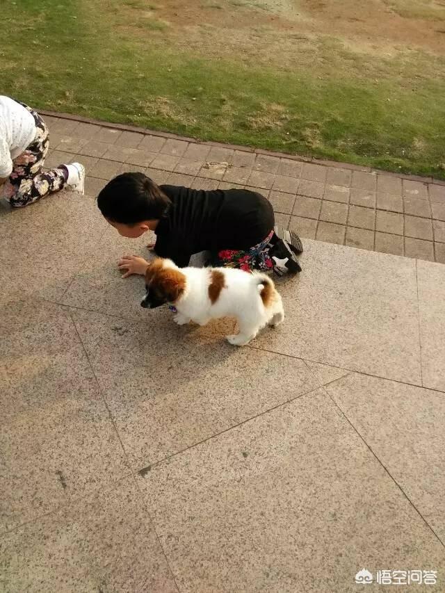 现在二胎政策放开了，农村人都愿意生二胎吗？