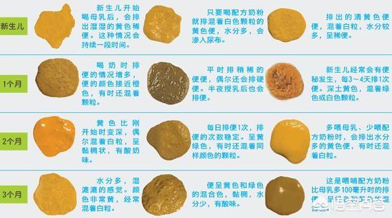 四个月大的宝宝纯母乳喂养，最近总是早上排黄色粪便而白天排绿色粪便，这是怎么回事儿？