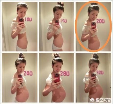 孕期孕妇的体重会如何增加？20周时体重增加到多少最为合适？