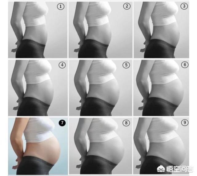 怀孕后为什么肚子会逐渐增大？