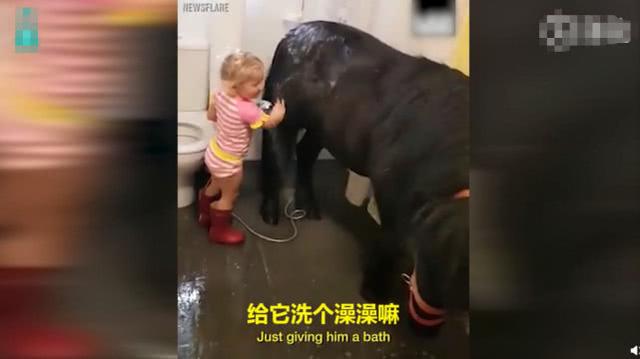 自从当了父母就没有无聊的时候，每分每秒都有操不完的心