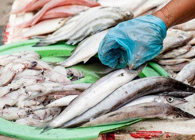 宝宝辅食吃三文鱼，怎样才能更安全有营养？宝妈应该这么做