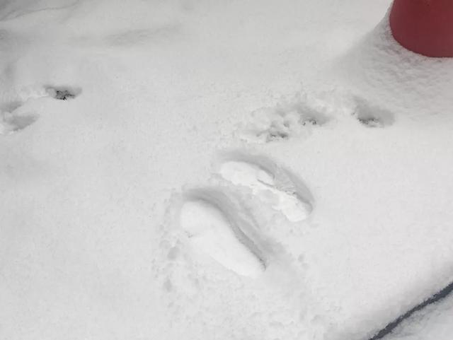 下雪啦，肚子里小宝宝看到了吗